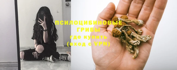 молекула духа Армянск