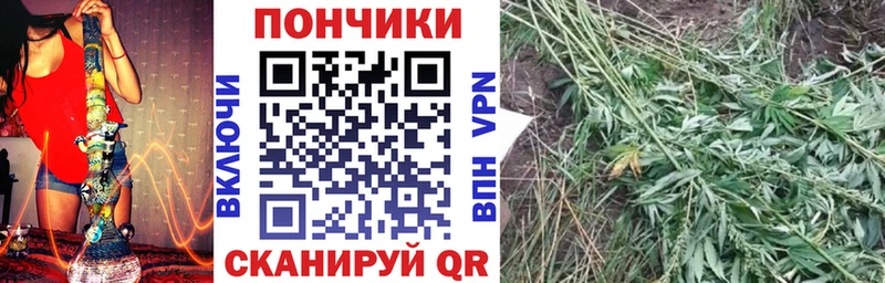 Марихуана планчик  продажа наркотиков  Порхов 